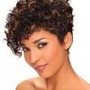 Short Curly Hairstyles (Photo 5 of 25)