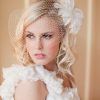 Wedding Hairstyles For Long Hair With Birdcage Veil (Photo 13 of 15)