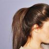 Ponytail Hairstyles With Bump (Photo 4 of 25)