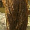 V-Cut Layers Hairstyles For Thick Hair (Photo 2 of 25)