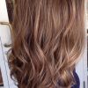 Warm-Toned Brown Hairstyles With Caramel Balayage (Photo 4 of 25)