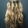 Braids With Curls Hairstyles (Photo 14 of 25)