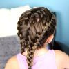 Double French Braids And Ponytails (Photo 12 of 15)