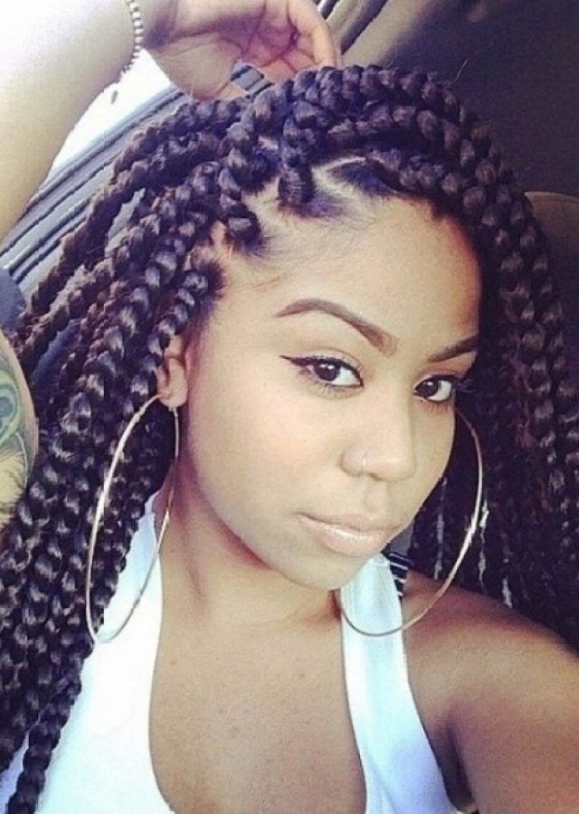 15 Best Collection of Braided Hairstyles Without Weave