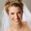 Wedding Hairstyles With Veils (Photo 14 of 15)