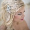 Wedding Hairstyles For Long Hair With Birdcage Veil (Photo 2 of 15)