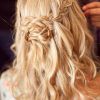 Wedding Hairstyles Down With Braids (Photo 14 of 15)