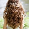 Wedding Hairstyles For Long Brown Hair (Photo 7 of 15)