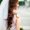 Wedding Hairstyles For Long Hair Down With Veil (Photo 14 of 15)