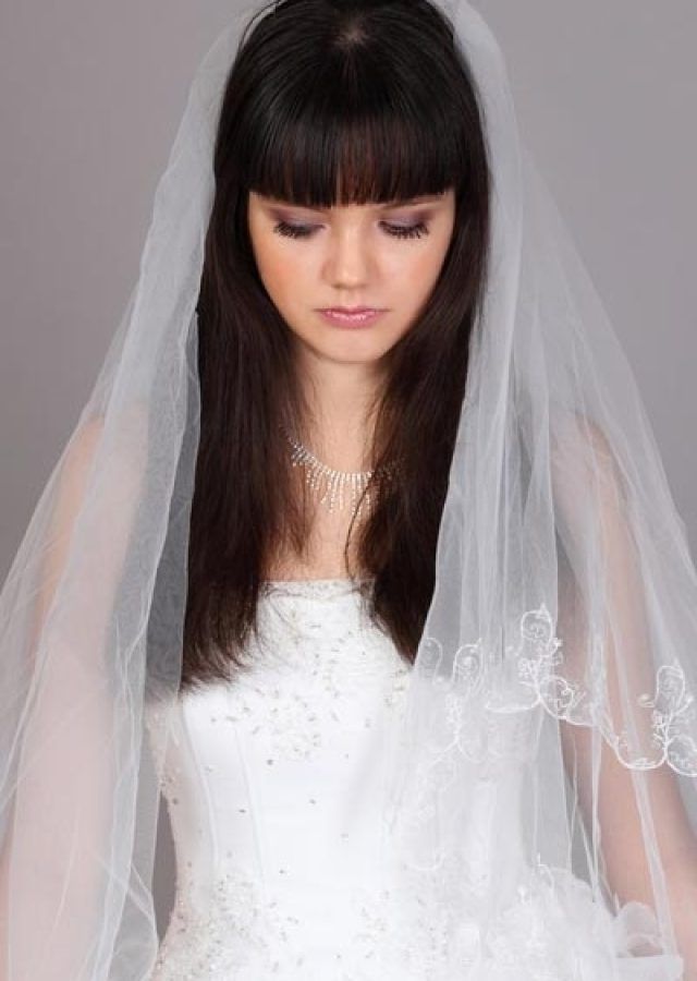 2024 Popular Wedding Hairstyles for Long Straight Hair with Veil