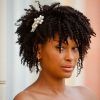 Updos For African American Natural Hair (Photo 12 of 15)