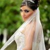 Wedding Hairstyles With Tiara And Veil (Photo 14 of 15)