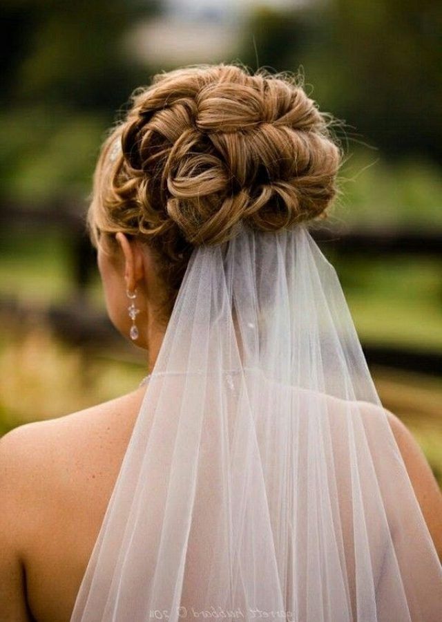 Top 15 of Up Hairstyles with Veil for Wedding