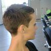 Buzzed Pixie Hairstyles (Photo 8 of 15)