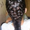 Braided Hairstyles For White Hair (Photo 10 of 15)