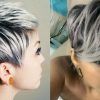 Silver And Brown Pixie Hairstyles (Photo 4 of 25)