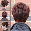 Choppy Pixie Bob Haircuts With Stacked Nape (Photo 10 of 25)