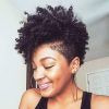 Natural Curly Hair Mohawk Hairstyles (Photo 1 of 25)