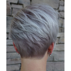 High-Shine Sleek Silver Pixie Bob Haircuts (Photo 21 of 25)